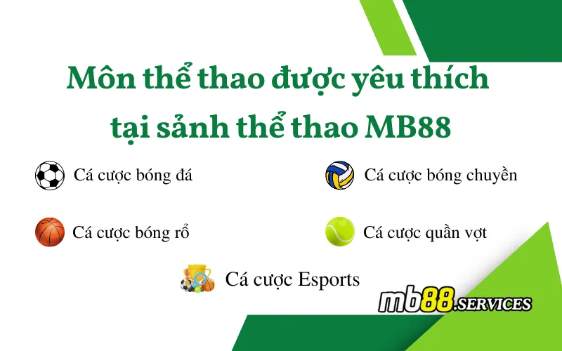Thể Thao MB88 - Đa Dạng Kèo Cược, Tỷ Lệ Hấp Dẫn - Avexo