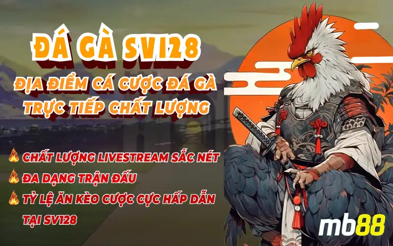 Đá gà SV128 MB88 - Sảnh Đá Gà Đẳng Cấp, Nhiều Ưu Đãi - Avexo