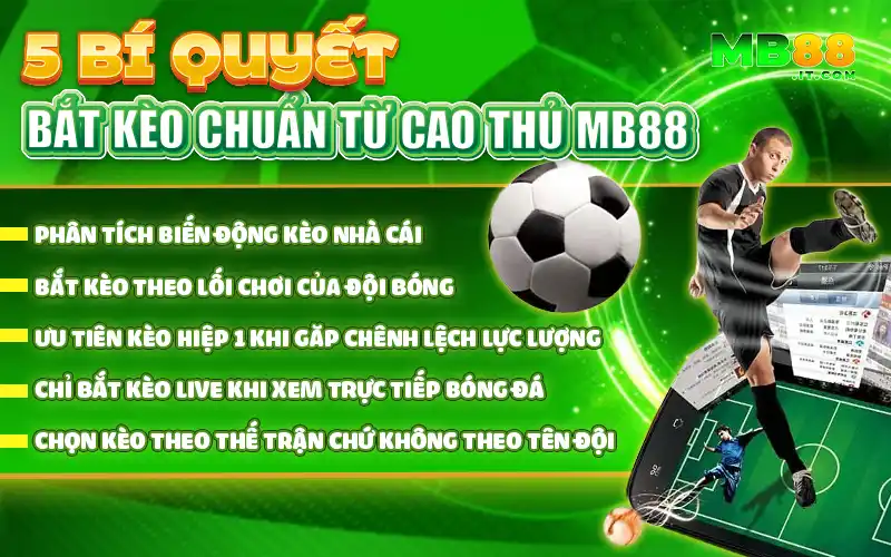 Bóng Đá Trực Tuyến MB88 - Theo Dõi Và Bắt Kèo Chuẩn - Avexo