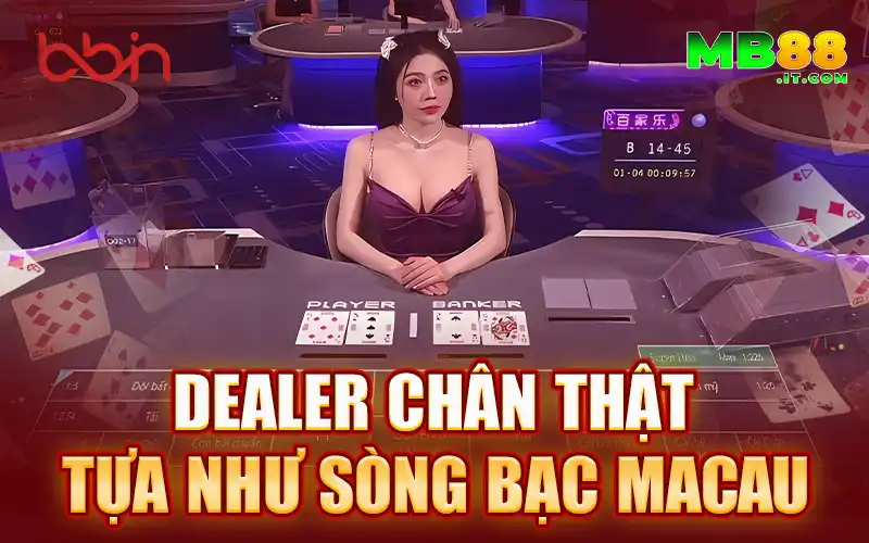 BBIN - Nhà Phát Hành Game Casino Đẳng Cấp Quốc Tế 2026 - Avexo