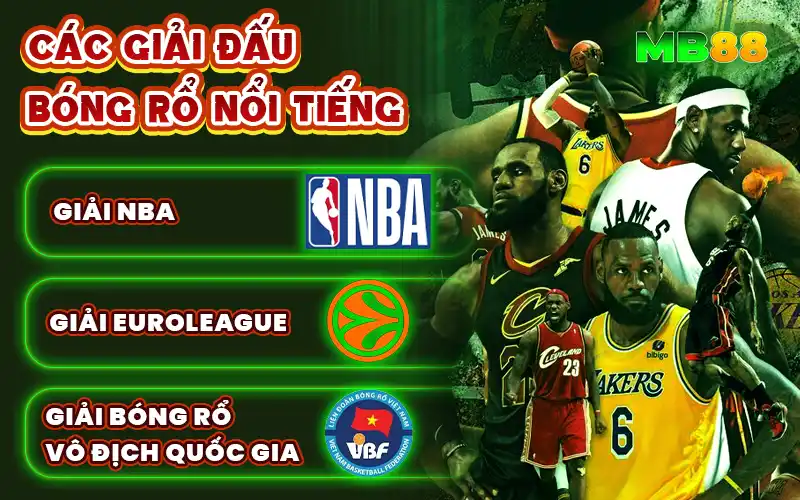Bóng Rổ MB88 - Nền Tảng Cá Cược Bóng Rổ Uy Tín - Avexo