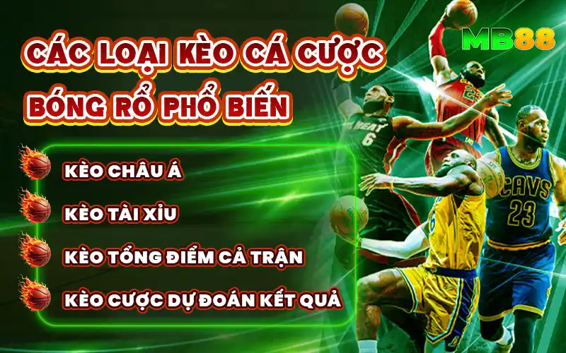 Bóng Rổ MB88 - Nền Tảng Cá Cược Bóng Rổ Uy Tín - Avexo