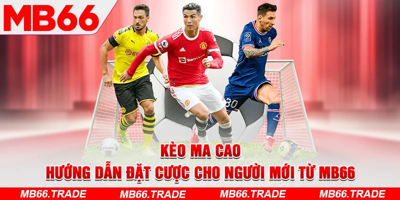 Kèo Ma Cao - Hướng Dẫn Đặt Cược Cho Người Mới Từ MB66 - Avexo