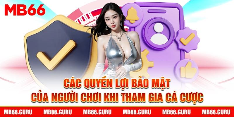 Chính Sách Bảo Mật MB66: Dữ Liệu An Toàn, Yên Tâm Chơi - Avexo