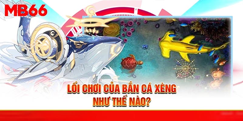 Bắn Cá Xèng Tuyệt Phẩm Giải Trí - Đăng Ký MB66 Ngay Hôm Nay - Avexo