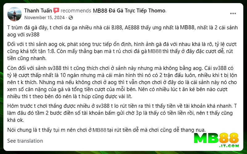 Bài Đánh Giá Về MB88 - Góc Nhìn Khách Quan Từ Dân Cá Cược - Avexo