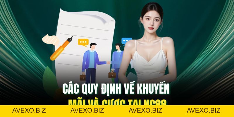 Điều Khoản Điều Kiện Của Nhà Cái: Cần Hiểu Rõ Để Tránh Rủi Ro - Avexo