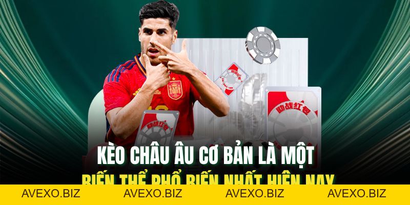 Kèo Châu Âu: Bí Kíp Soi Kèo Giúp Tăng Tỷ Lệ Thắng Nhanh Chóng - Avexo
