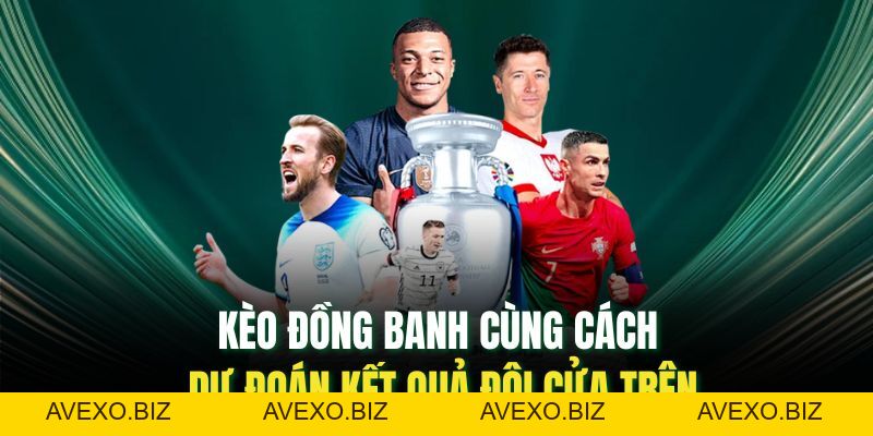 Kèo Đồng Banh: Mẹo Phân Tích Tỷ Lệ Giúp Bạn Đặt Kèo Hiệu Quả - Avexo