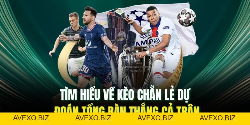 Kèo Chẵn Lẻ: Cách Chơi Khôn Ngoan, Tránh Thua Oan Liên Tục - Avexo